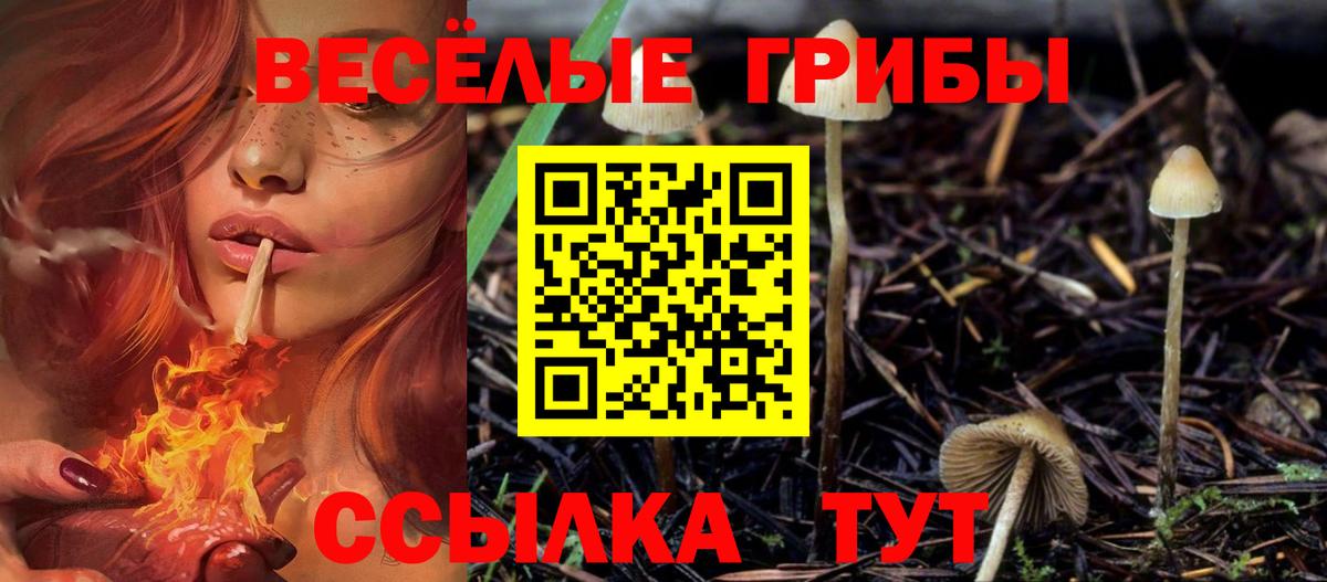 Псилоцибиновые грибы ЛСД  Вход с VPN  Карабулак 